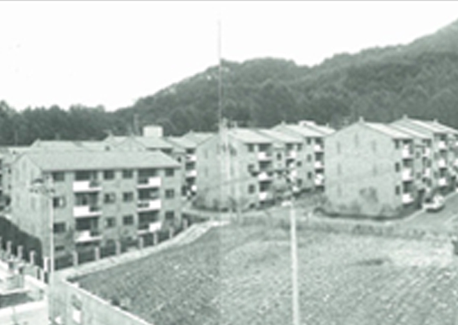 1986 신영동 중앙빌라 96세대 건립