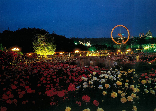 1985 장미축제와 야간개장으로 새로운 문화를 만들어낸 자연농원
