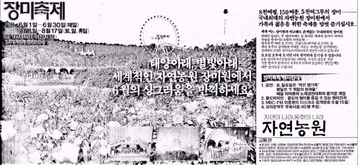 장미축제 1985