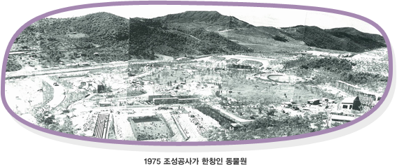 1975 簡 â 
