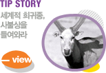 TIP STORY  , һ 鿩Ͷ