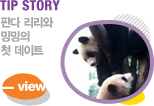 TIP STORY Ǵ  ֹ ù Ʈ