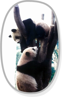 Ǵ  ֹ ù Ʈ
