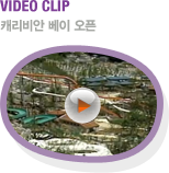 VIDEO CLIP ĳ  