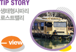 TIP STORY ĸ νƮ븮
