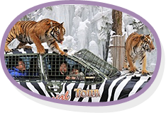 Zoo