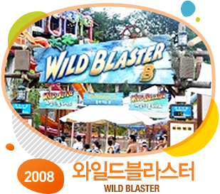 2008 ϵ wild blaster