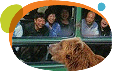  ĸ