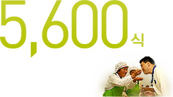 5,600