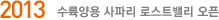 2013  ĸ νƮ븮 