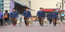 삼성화재안내견학교, 누계 분양 200두 넘어서